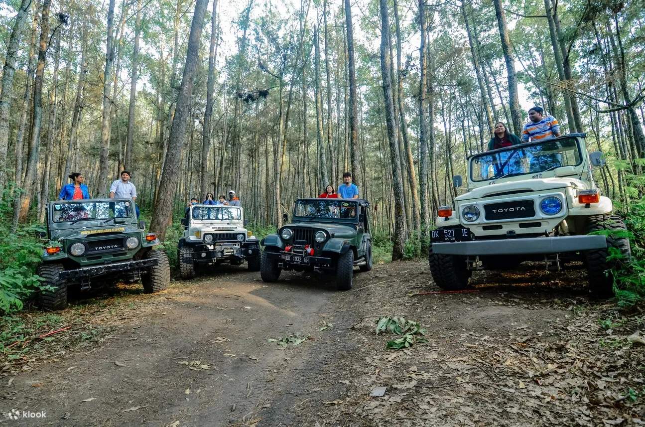 đi xe jeep trong rừng