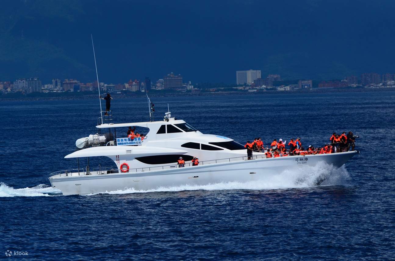 Hualien | Venus Whale Watching | Luxuriöse Yacht-Walbeobachtungstour