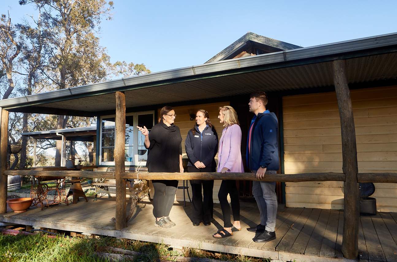 Вино Олбани