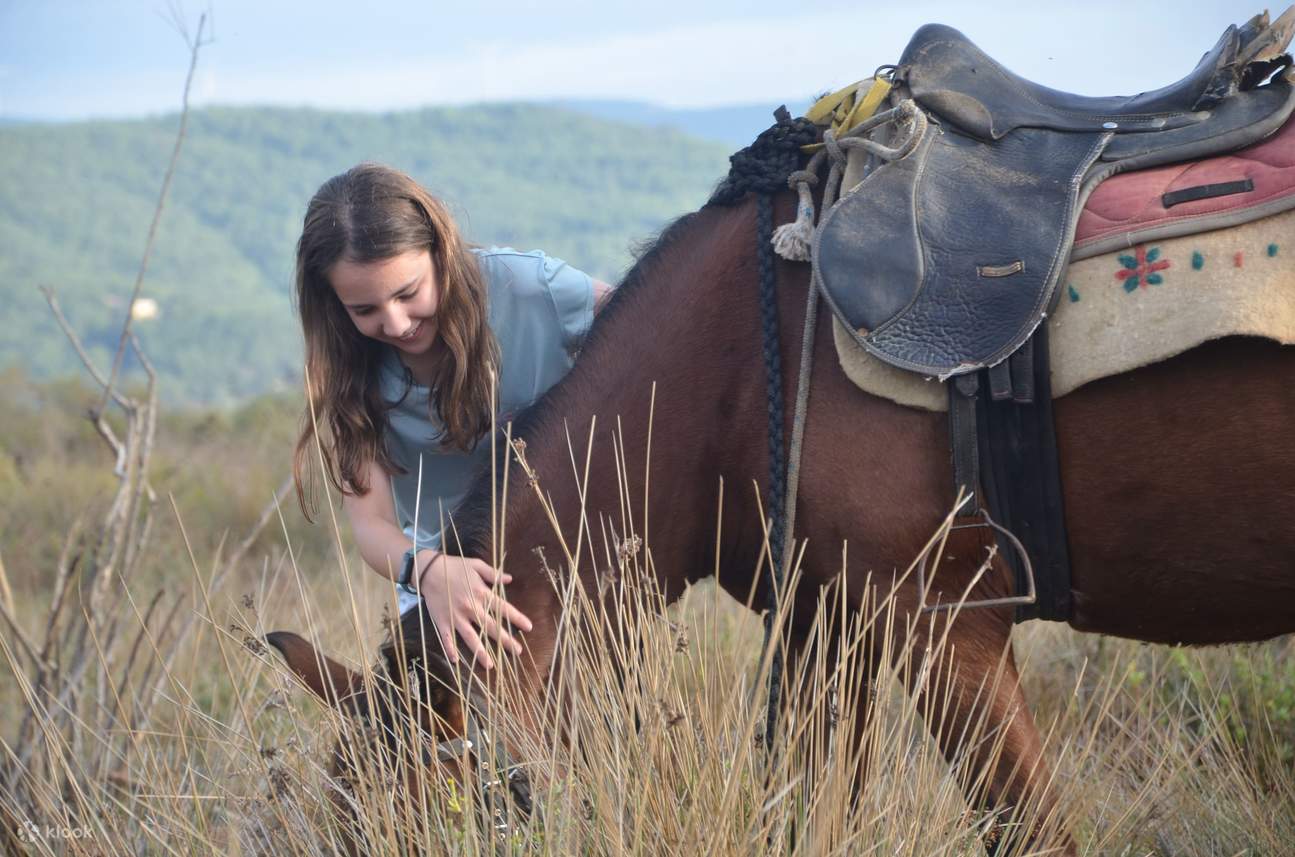 在海邊拍下難忘的照片，絕對是您庫沙達瑟之旅的一大亮點！