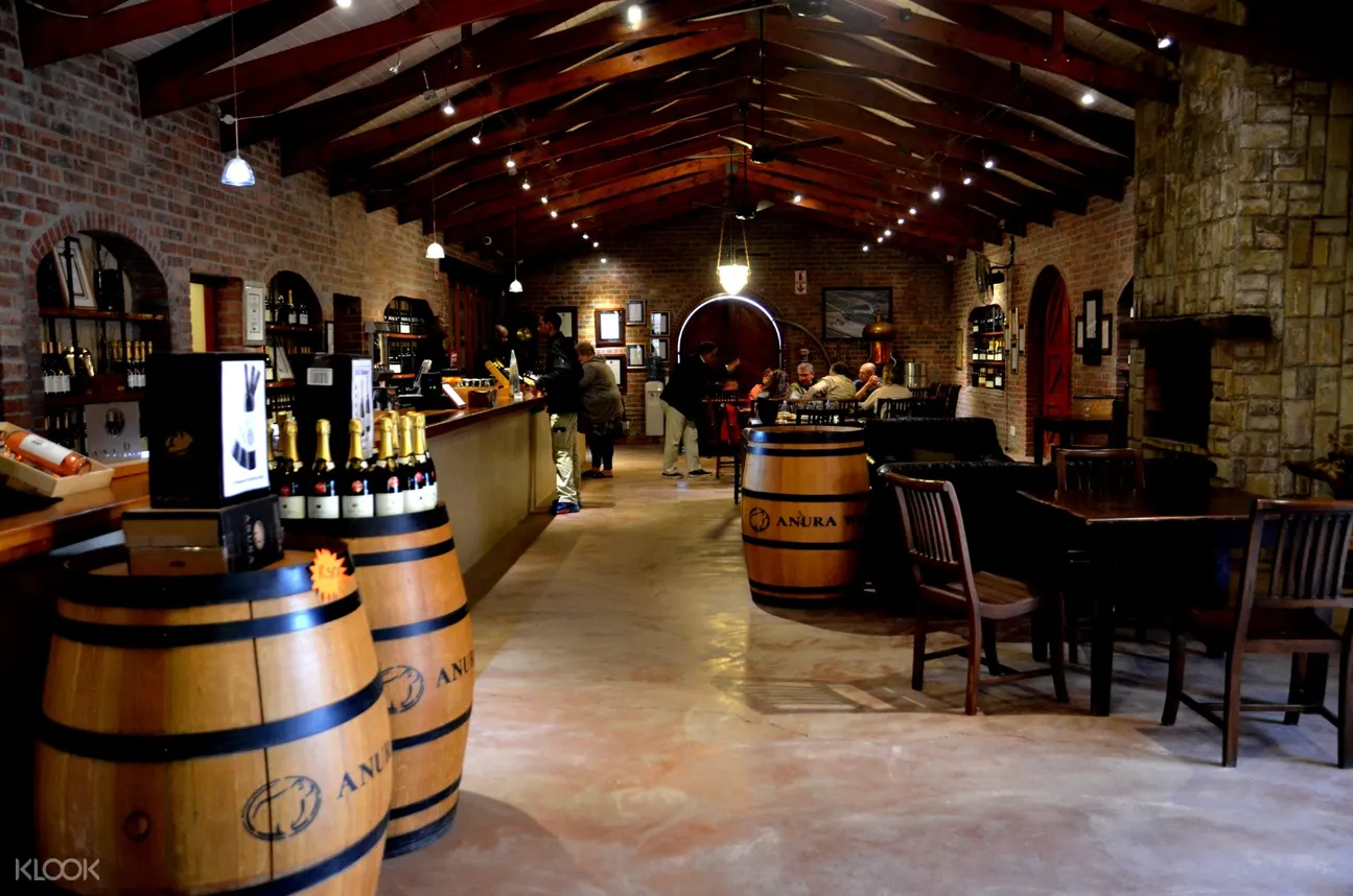 cape winelands full day tour from cape town