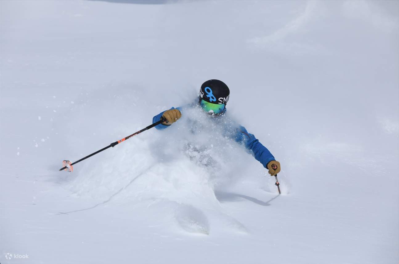 Japan Snow Resort Alliance Biglietto d'ingresso comune per 24 stazioni sciistiche