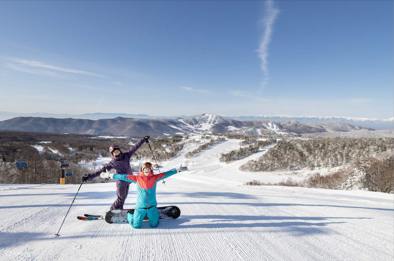 Japan Snow Resort Alliance Biglietto d'ingresso comune per 24 stazioni sciistiche