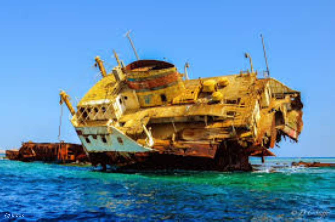 Lặn biển ngắm san hô ở Đảo Tiran, kèm bữa trưa & đưa đón - Sharm El Sheikh