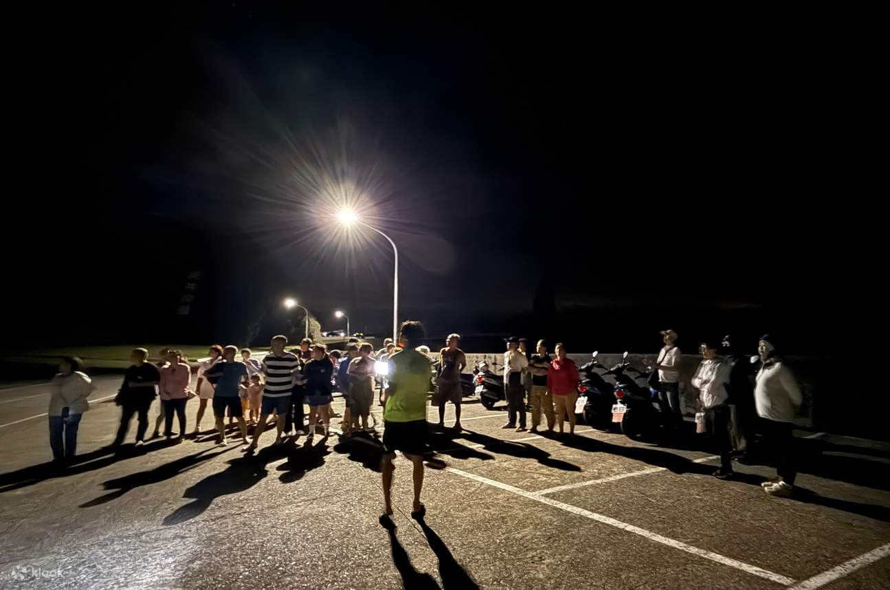 綠島深度玩樂攻略｜世界級潛點浮潛體驗 x 鬼斧神工秘境跳水 x 夜訪梅花鹿及人文景點解說