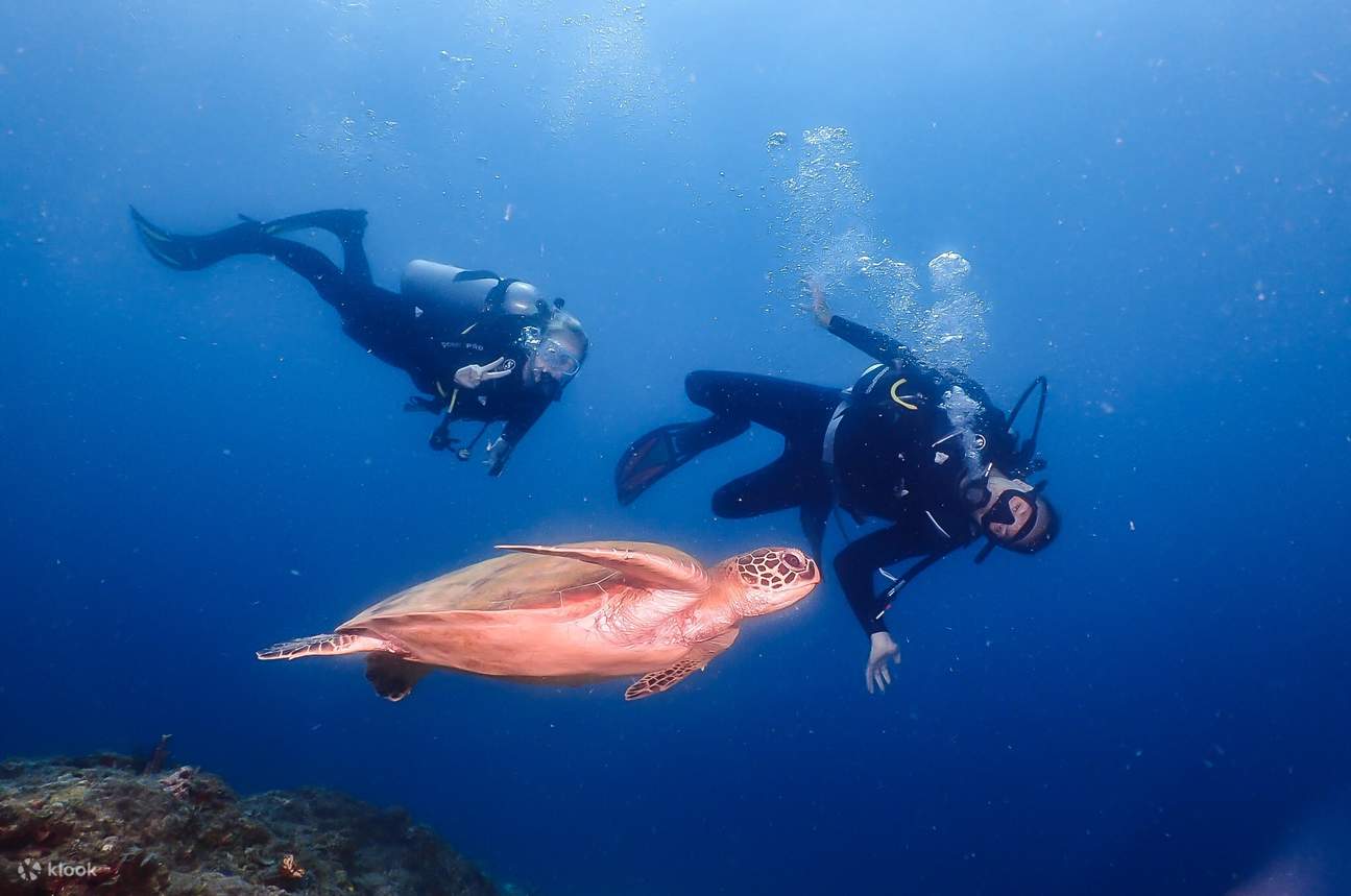 Voyage de plongée amusant