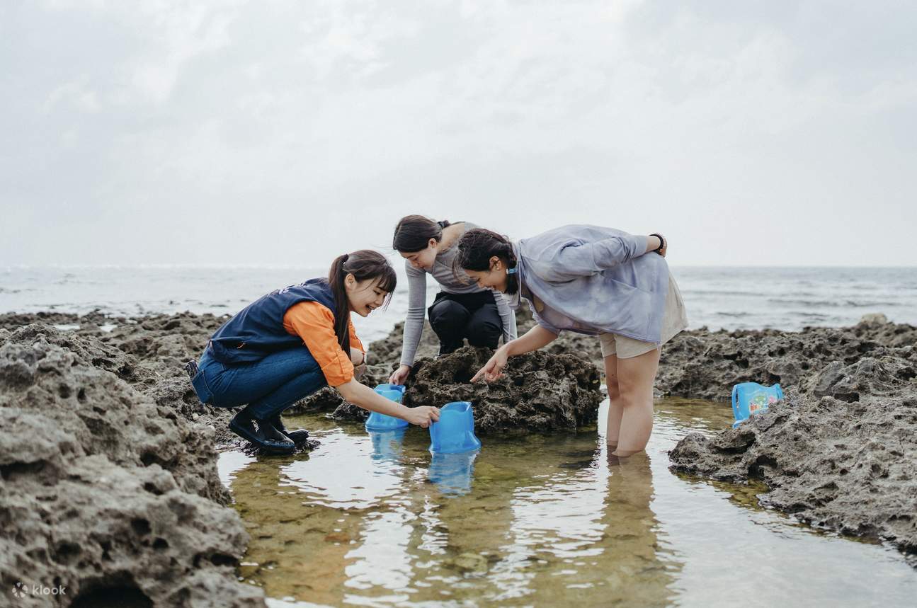 Acquario Nazionale di Penghu｜Esperienze: Mini Guida, Insieme ai Pesci, Visita Notturna all'Acquario, Esplorazione Intertidale