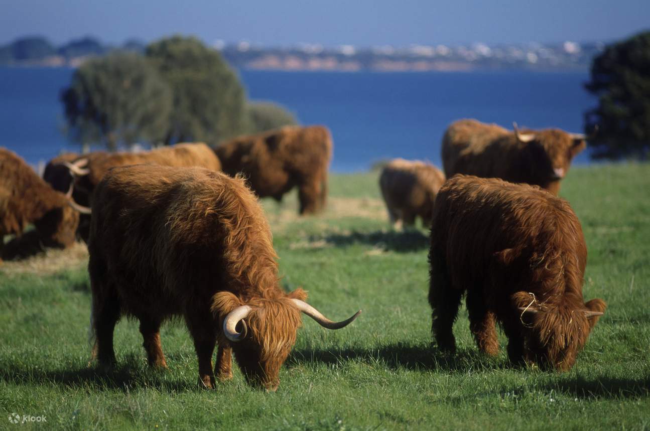 菲利普岛自然公园3园通票