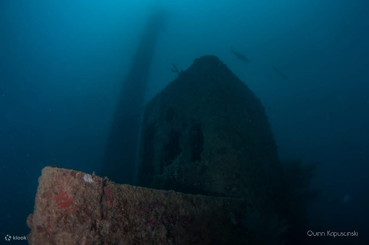 Explore Coron #39 s Depths: PADI Advanced Open Water Dive with a PADI 5