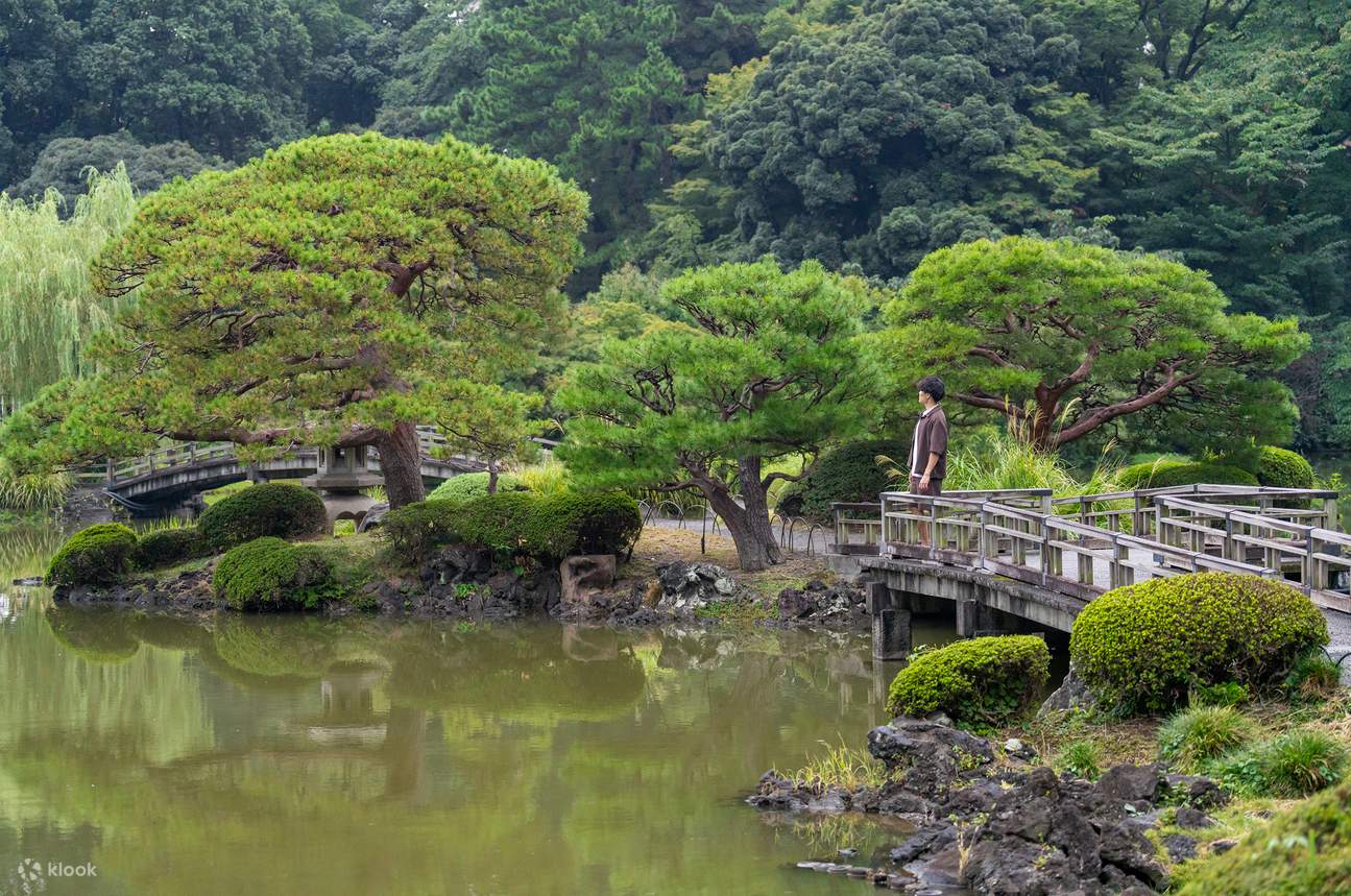 Jardín Nacional Shinjuku Gyoen / tradicional / naturaleza