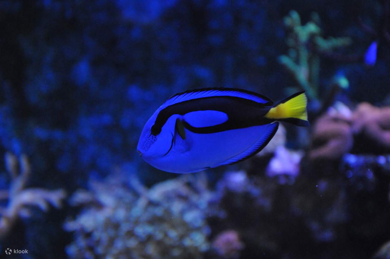 Entrada al Dolphin Discovery Center en Bunbury