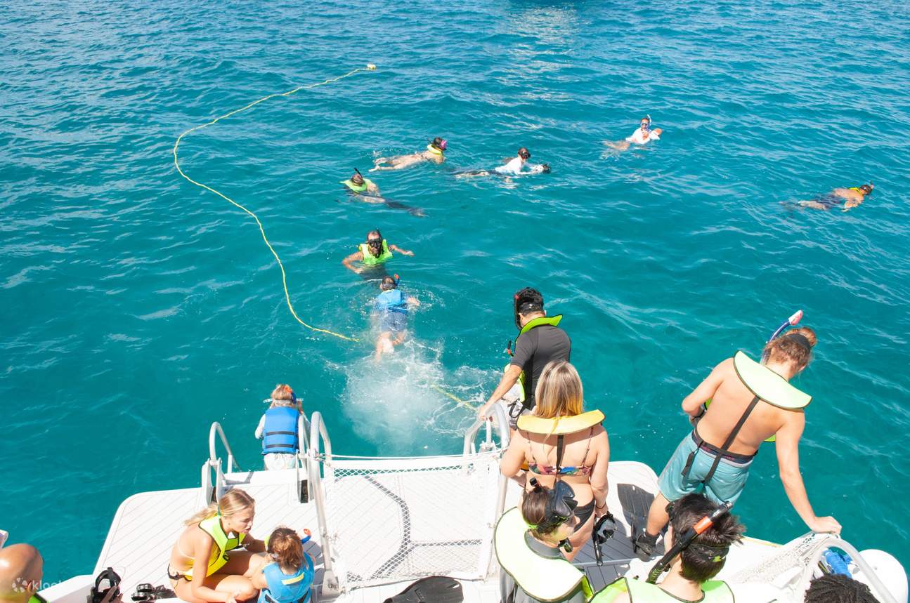 Explore the Best of Waikiki: Turtle Canyon Snorkeling with Lunch and ...