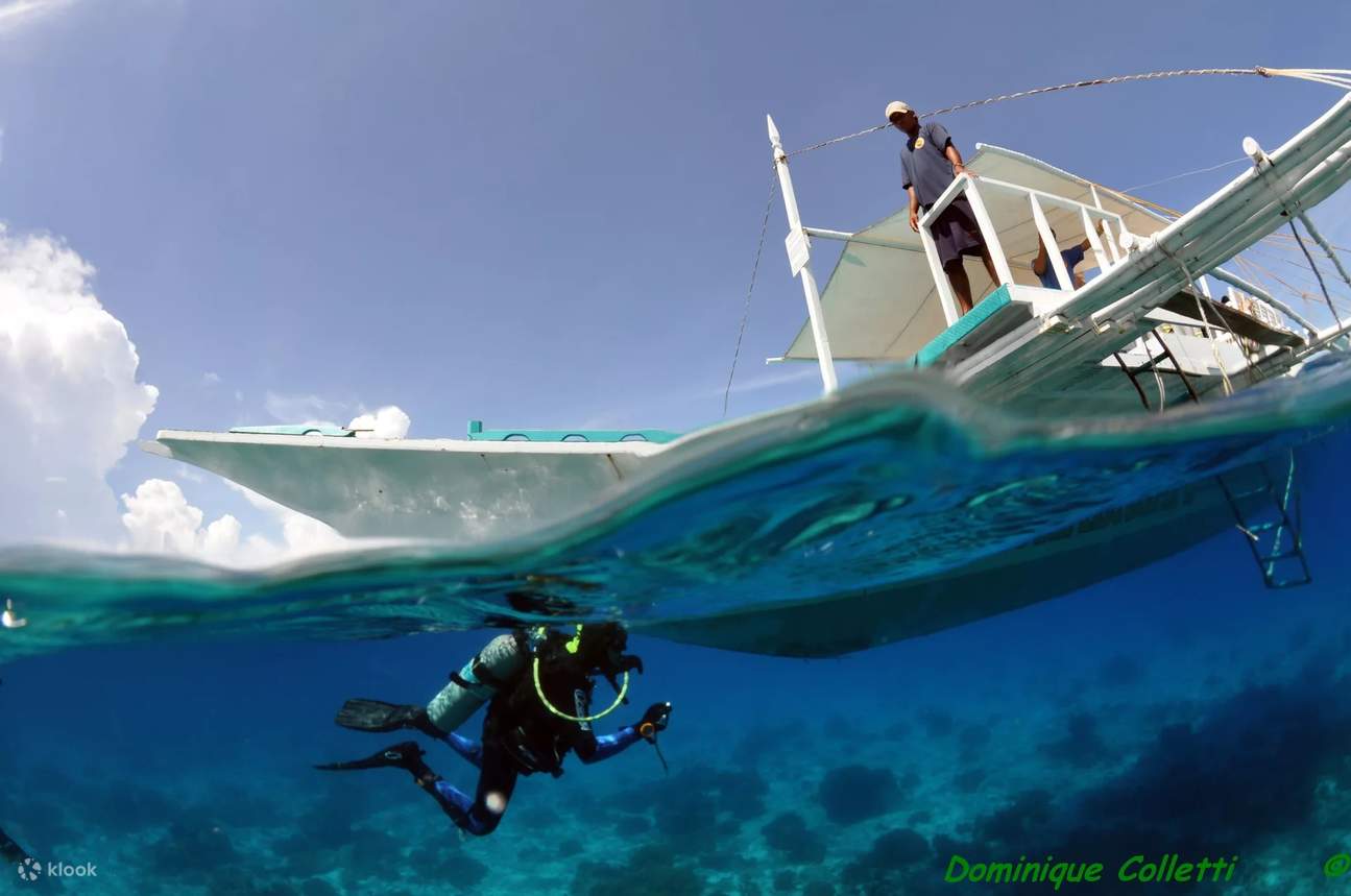 Pagsisid Galugarin ang Kalaliman: Maging isang PADI AOW Diver sa Bohol kasama ...