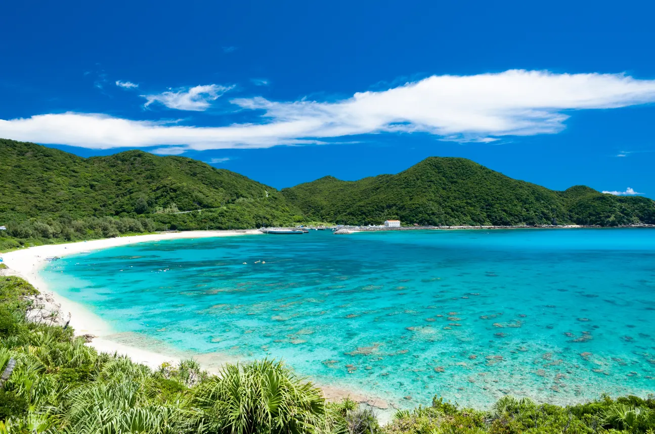 海洋