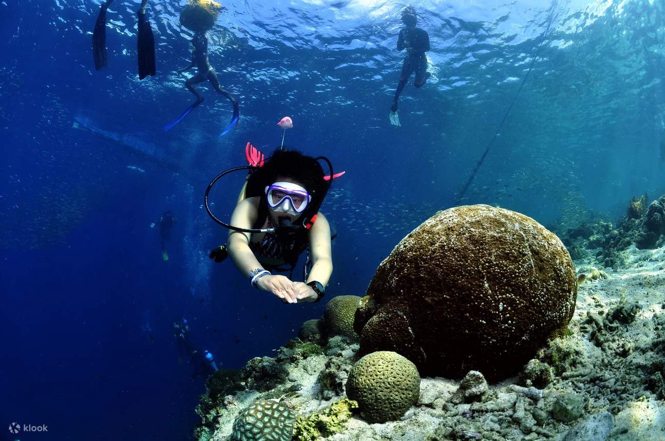 Окунитесь в неповторимое ощущение невесомости под волнами Моалбоала во время вашего пробного погружения с аквалангом (Discover Scuba Diving) – этот момент вы будете бережно хранить в памяти всегда.