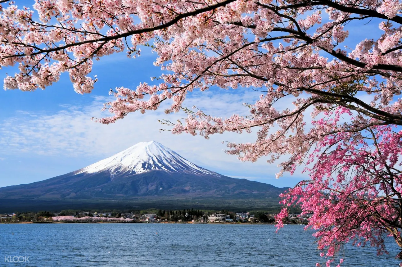 日本東京富士山 諏訪湖 高山市單程巴士遊 東京出發 線上訂票 3935 愛票網