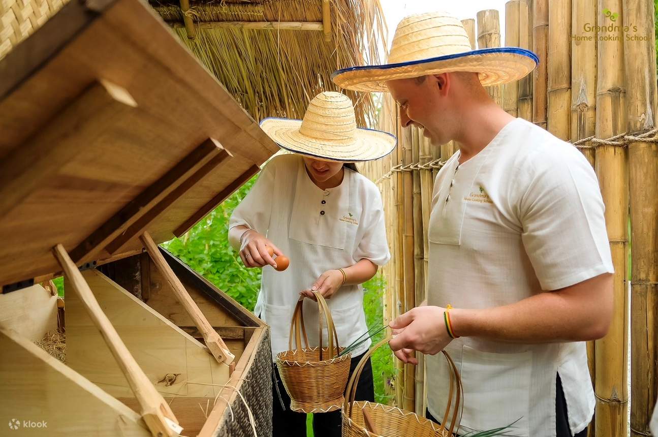 鶏に餌をあげたり、鶏小屋から産みたての卵を集めたりすることができます。集めた卵は、特製パッタイに使用します。
