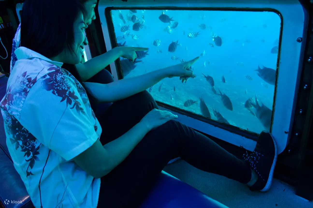 水中観光船オルカ号クルーズの予約 那覇発 Klook