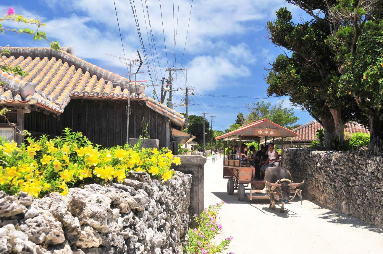 Taketomi Island Trip In Okinawa Japan Klook 客路
