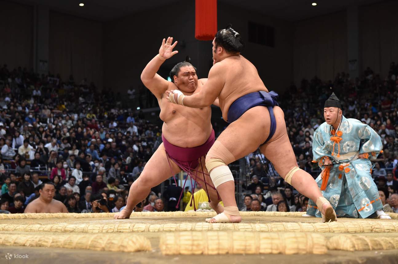 Grand Sumo Tournament (Mass seats for two) and Pufferfish lunch in