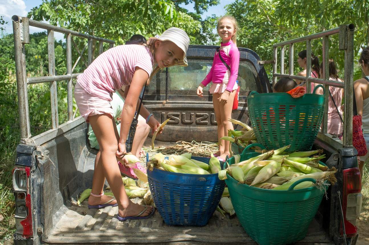 Food for elephants at ElephantsWorld in Kanchanaburi