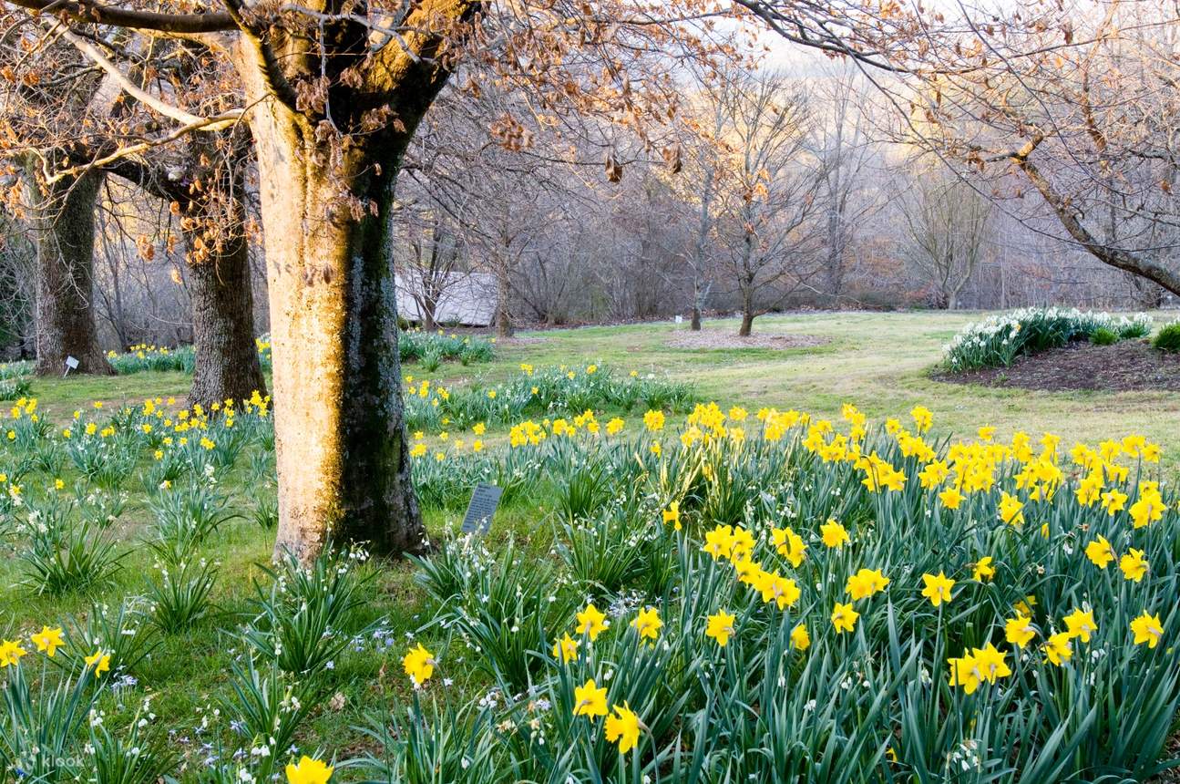 Blue Mountains Botanical Gardens Tour Klook United States