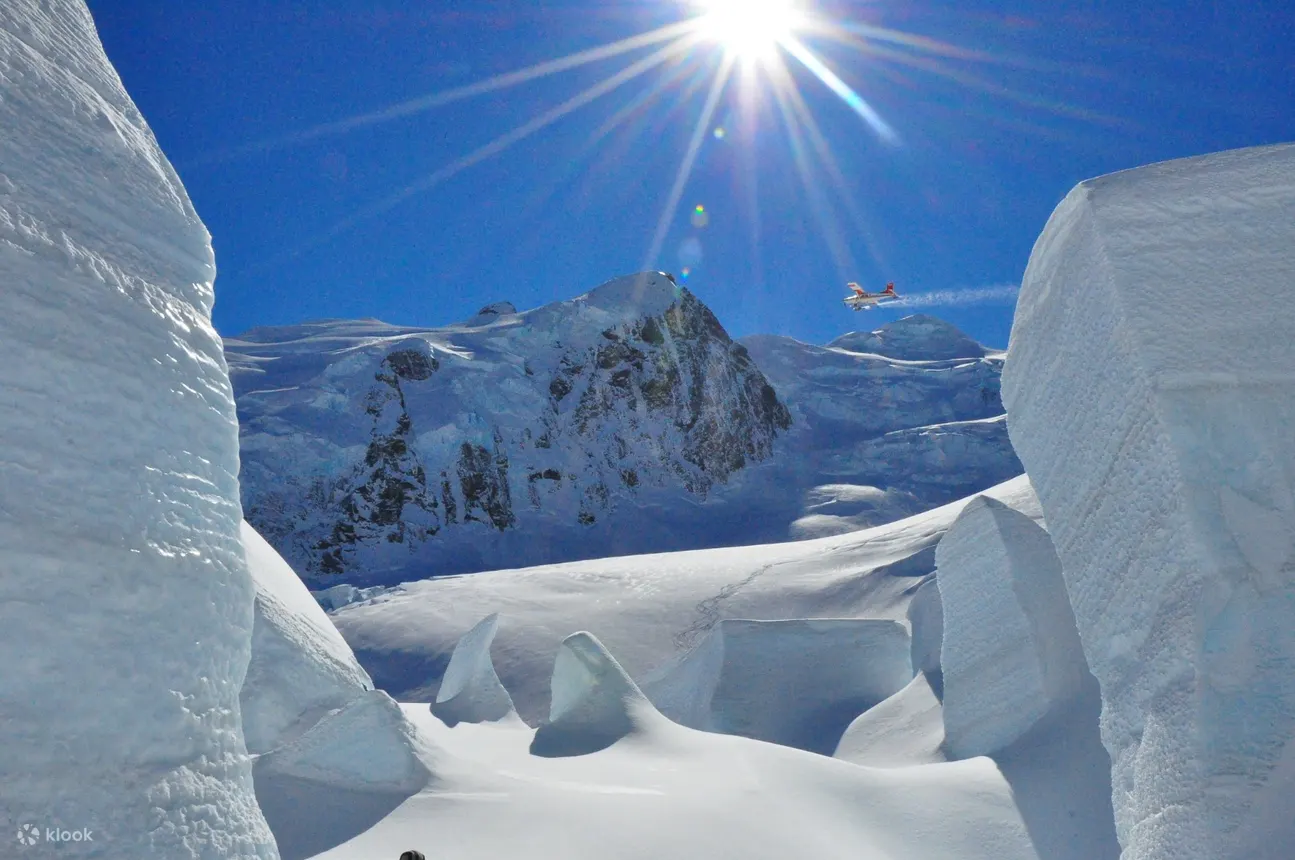 Ski Plane And Helicopter Experience In Mount Cook New Zealand Klook