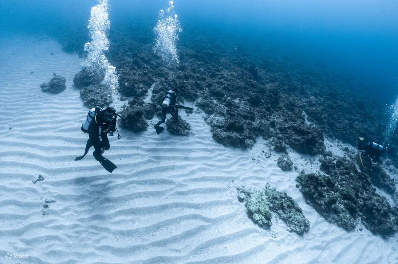 小琉球潜水考照：3天2夜 PADI 开放水域潜水课程