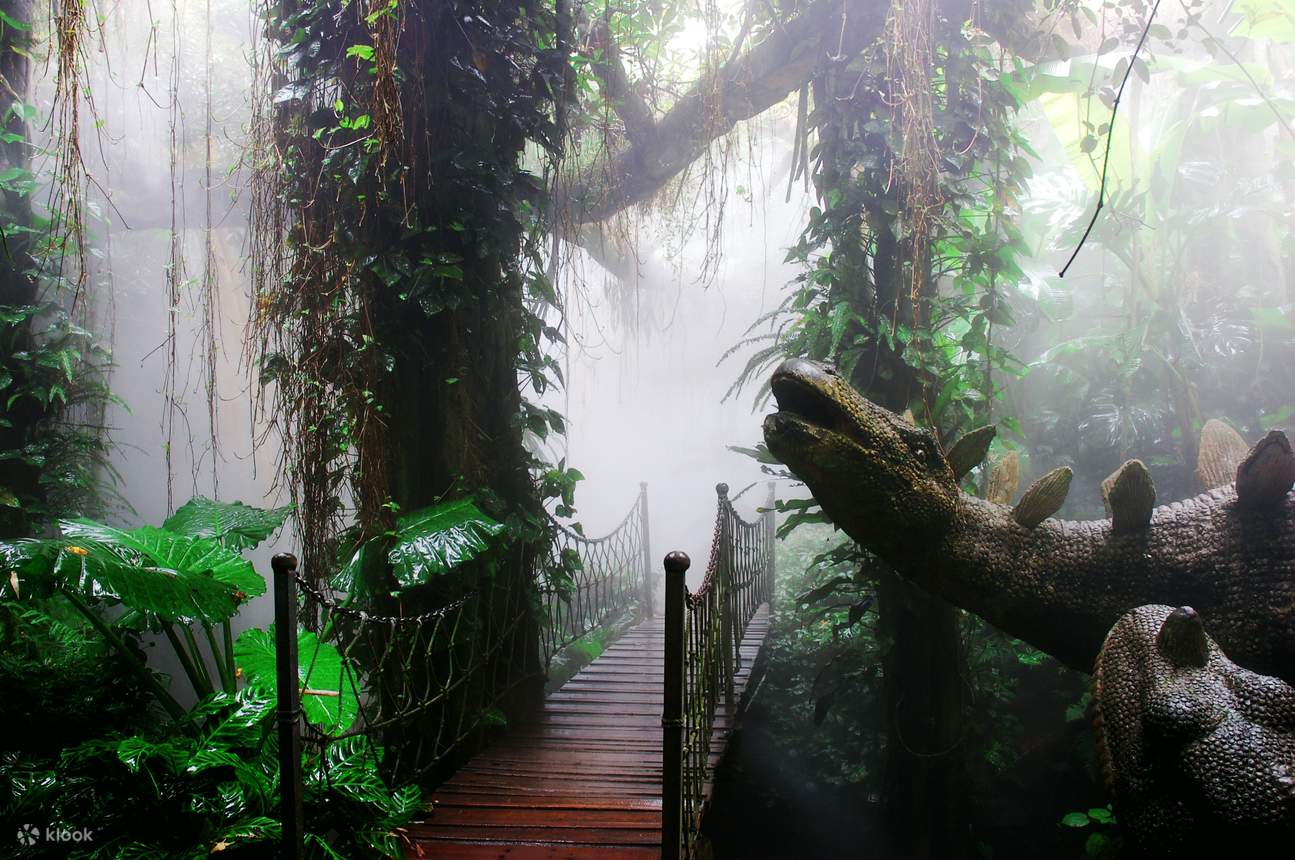 โรงแรมเซินเจิ้น ชิงชิง เวิลด์