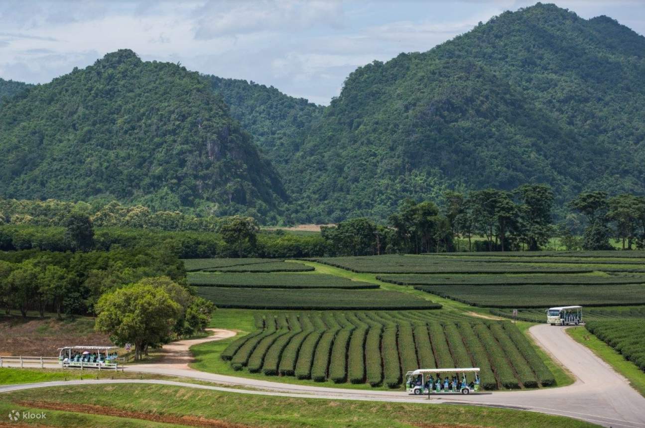 Chiang Rai Full Day Private Tour with White Temple, Blue Temple, Black House, and Singha Park in