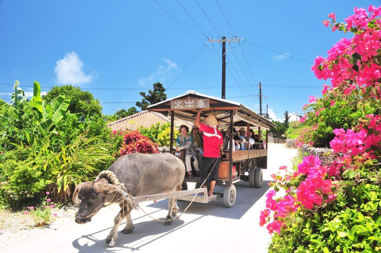 Ishigaki Island And Taketomi Day Trip In Okinawa Klook 客路