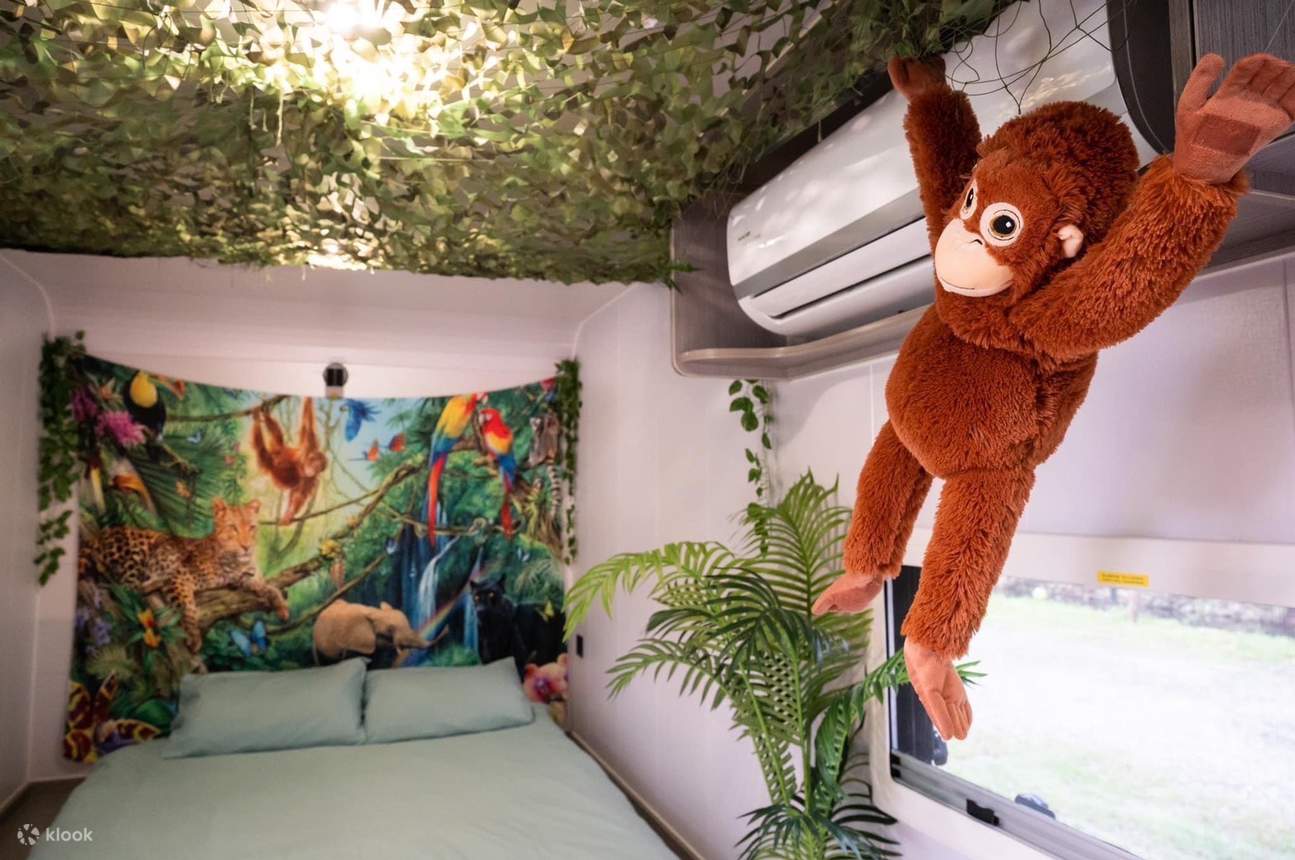 Expérience de camping de luxe en camping-car au Royal Bear Camping Area