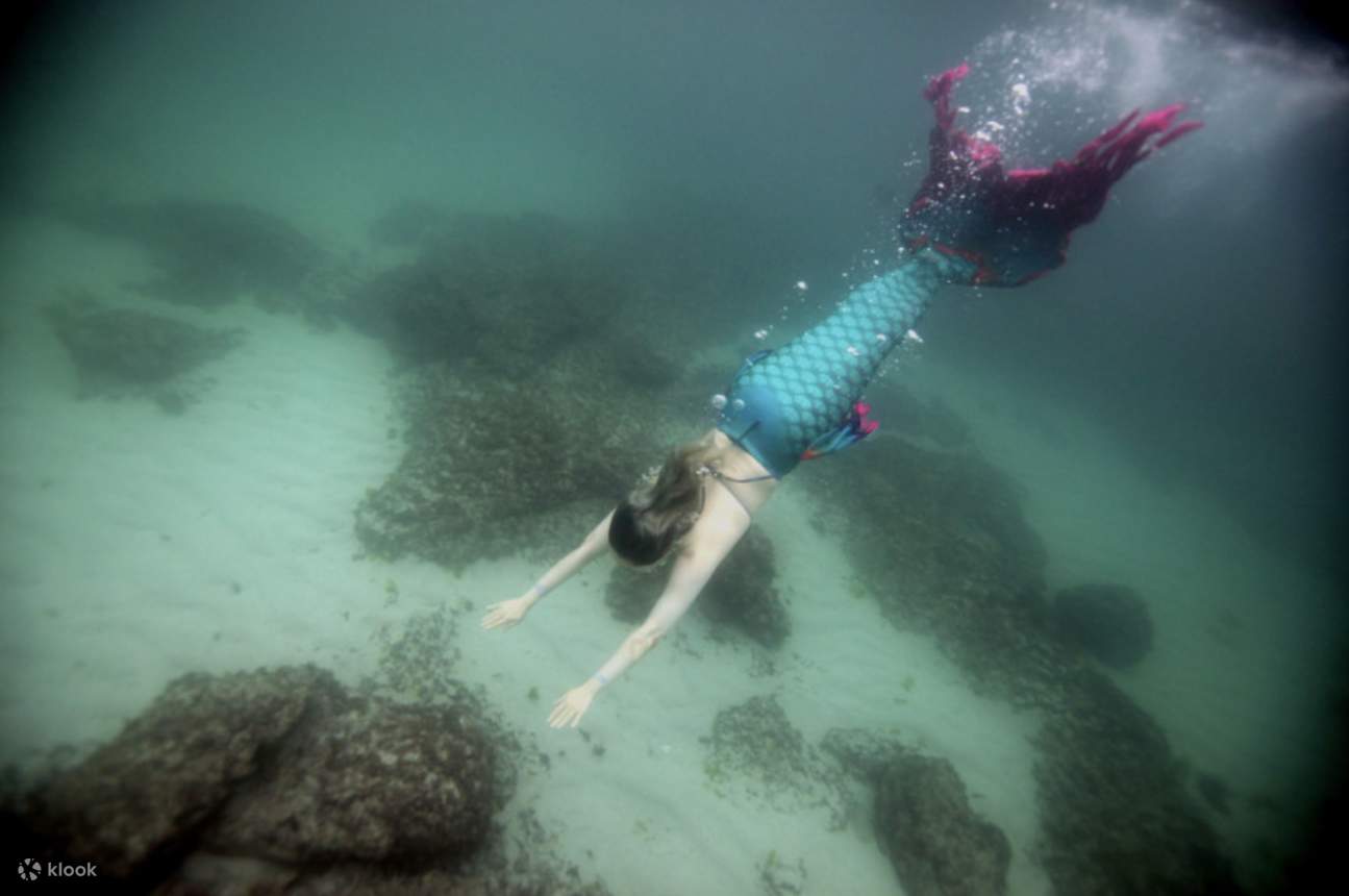 Pengembaraan Mermaid Diving Dibimbing oleh Haenyeo di Jeju