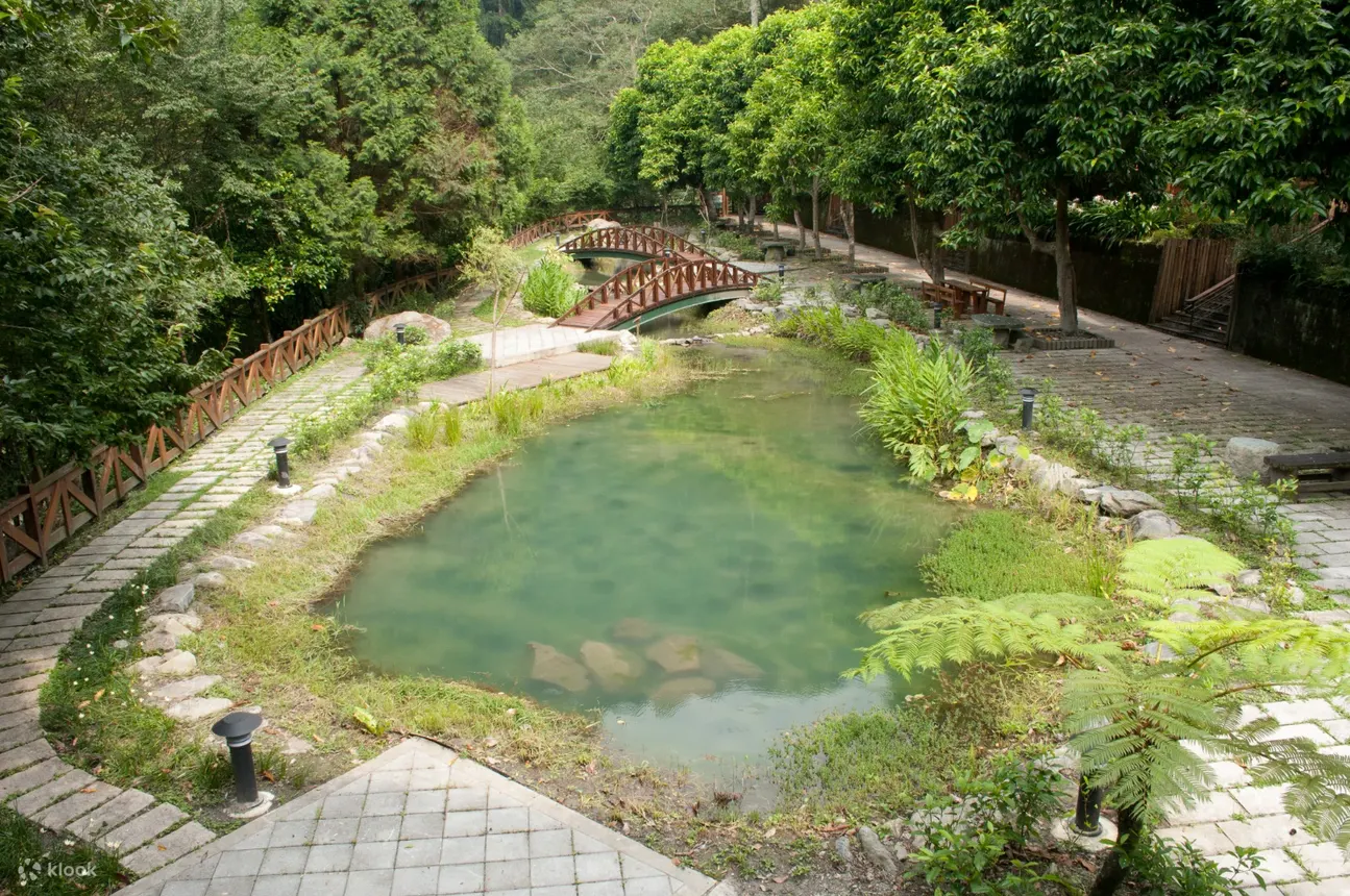 探访台中著名景点八仙山森林游乐区，一同呼吸新鲜空气
