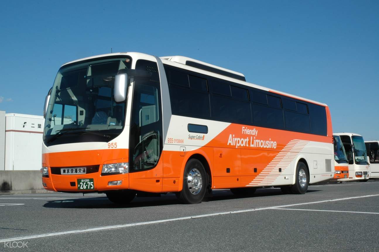 Narita Airport Limousine Bus & Hakone 2-Day Free Pass Combo Ticket
