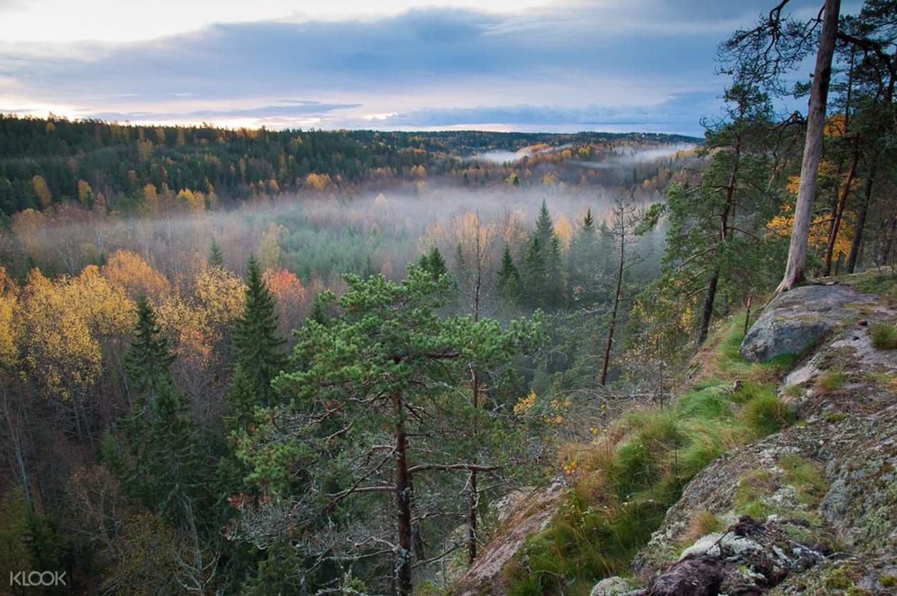 Nuuksio Half Day Nature Tour Helsinki, Finland