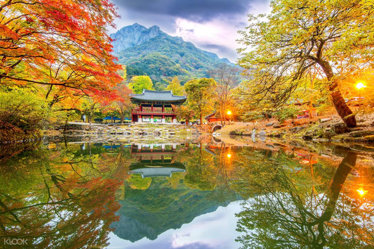 Naesangsan National Park Autumn Day Trip from Seoul - Klook