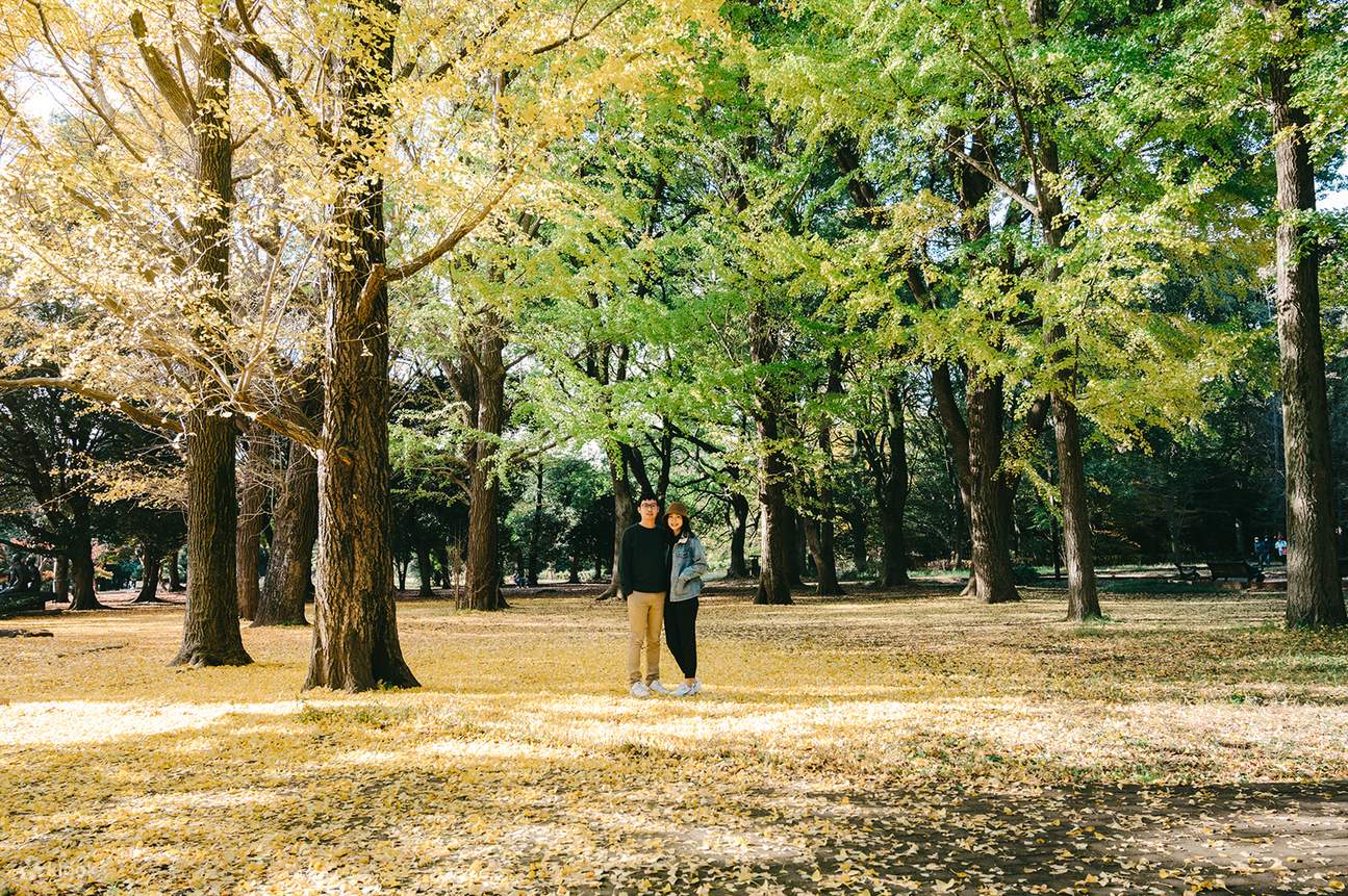 照片拍攝（可遠赴富士山、輕井澤、鎌倉、川越等地）