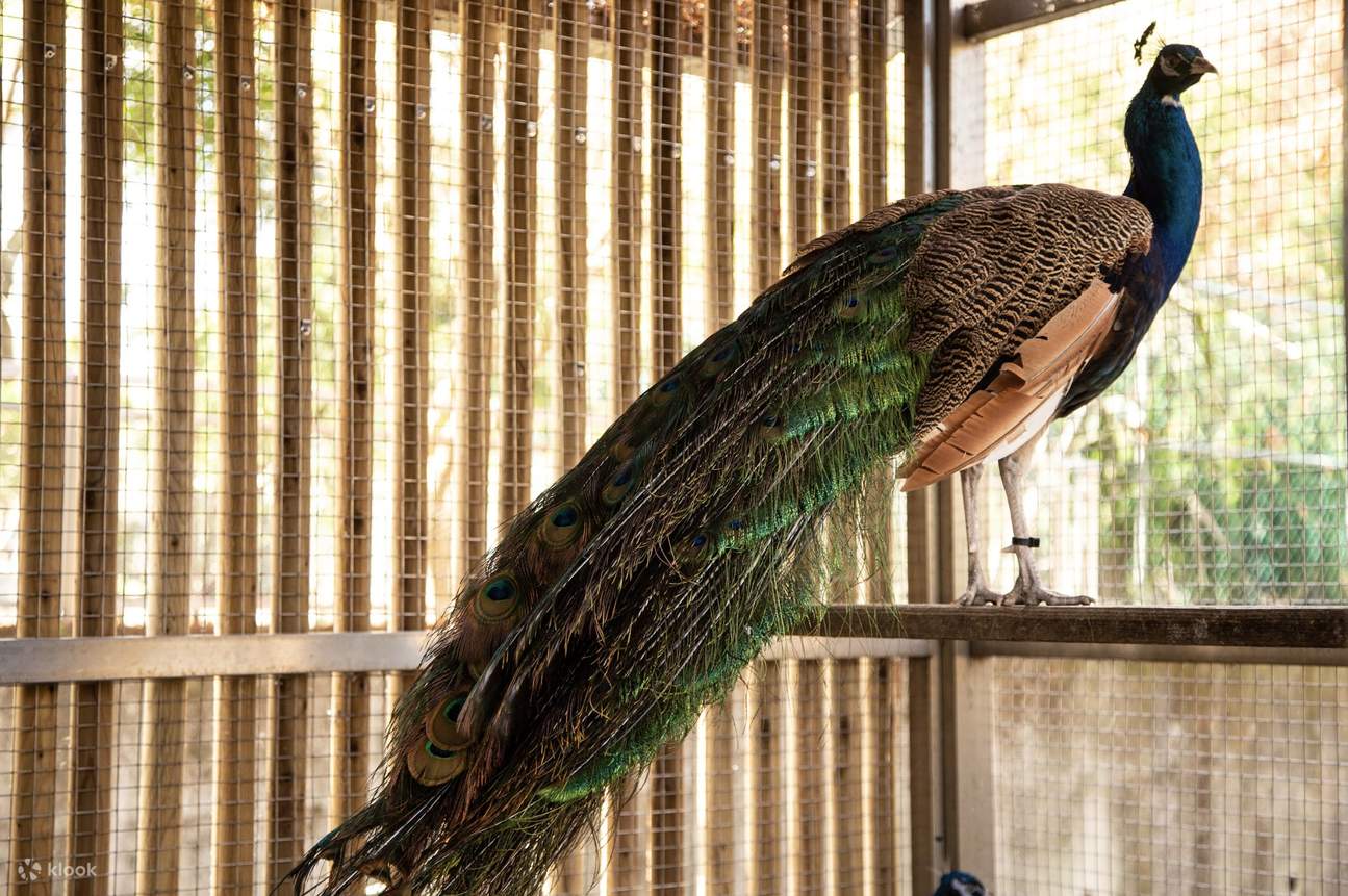 Yilan | Zone du zoo Waterfront Forest Story