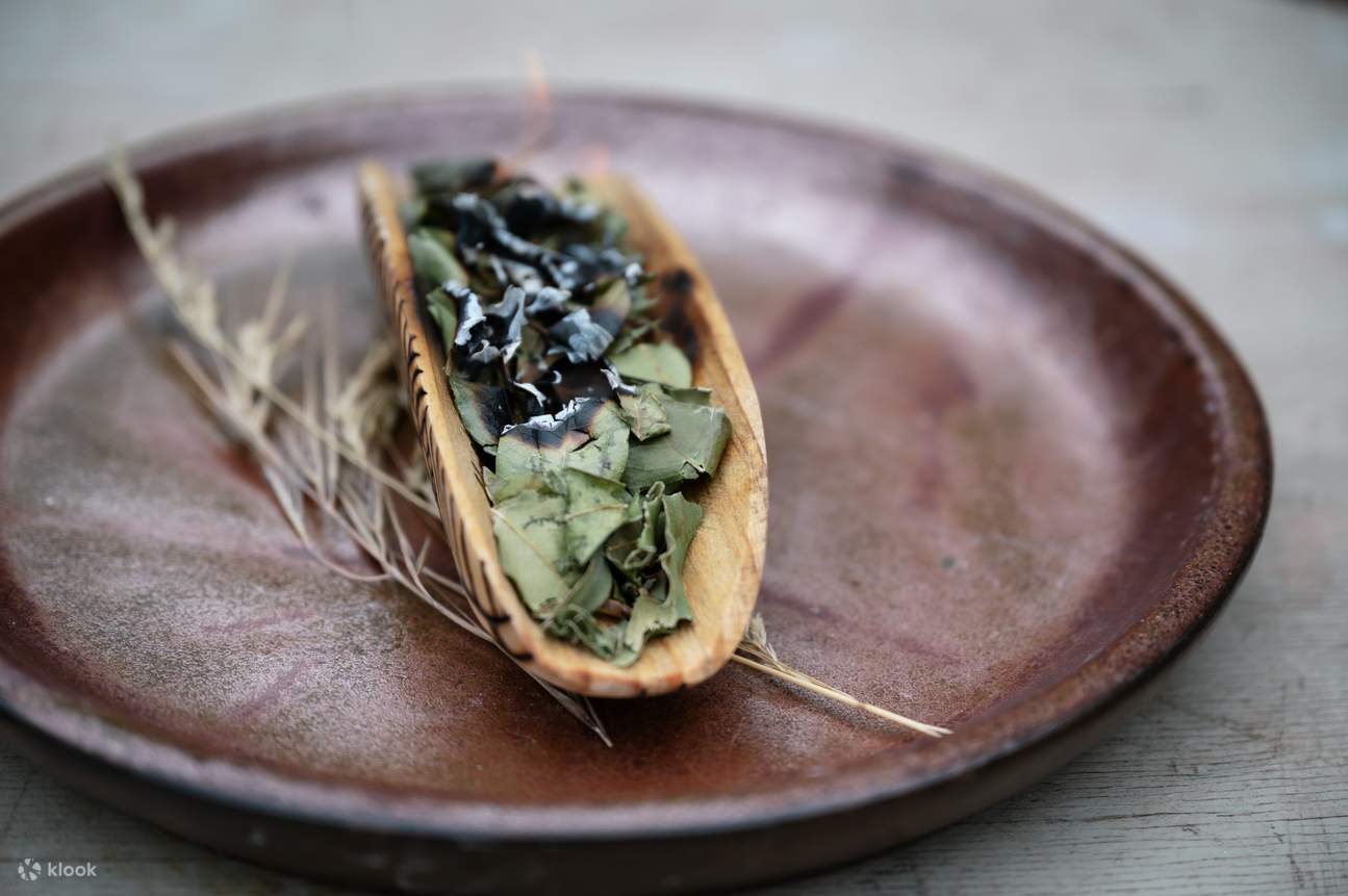 Expérience de vapotage purifiante 