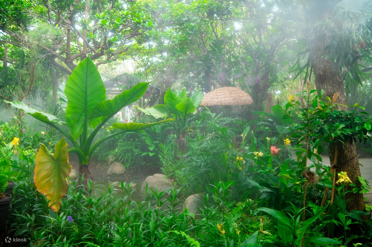 置身在虫呜鸟叫、绿植簇拥的用餐氛围，享用轻食甜点!