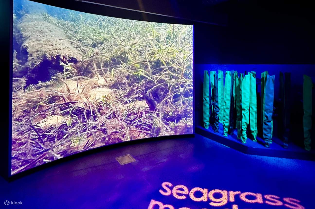 Vé Trung tâm khám phá biển Busselton Jetty