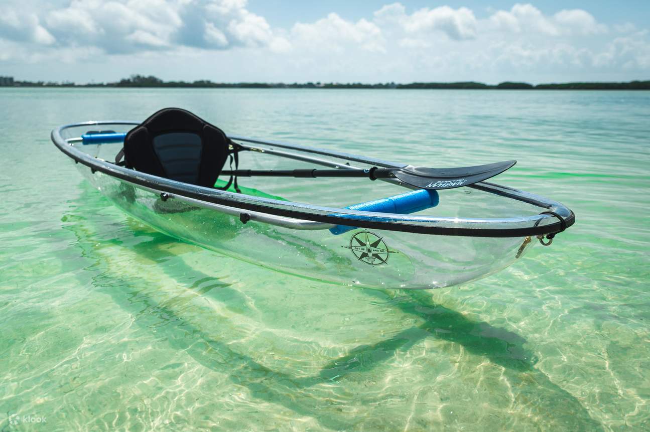 Passeio de caiaque transparente pela Shell Key Preserve em Tampa Bay ...