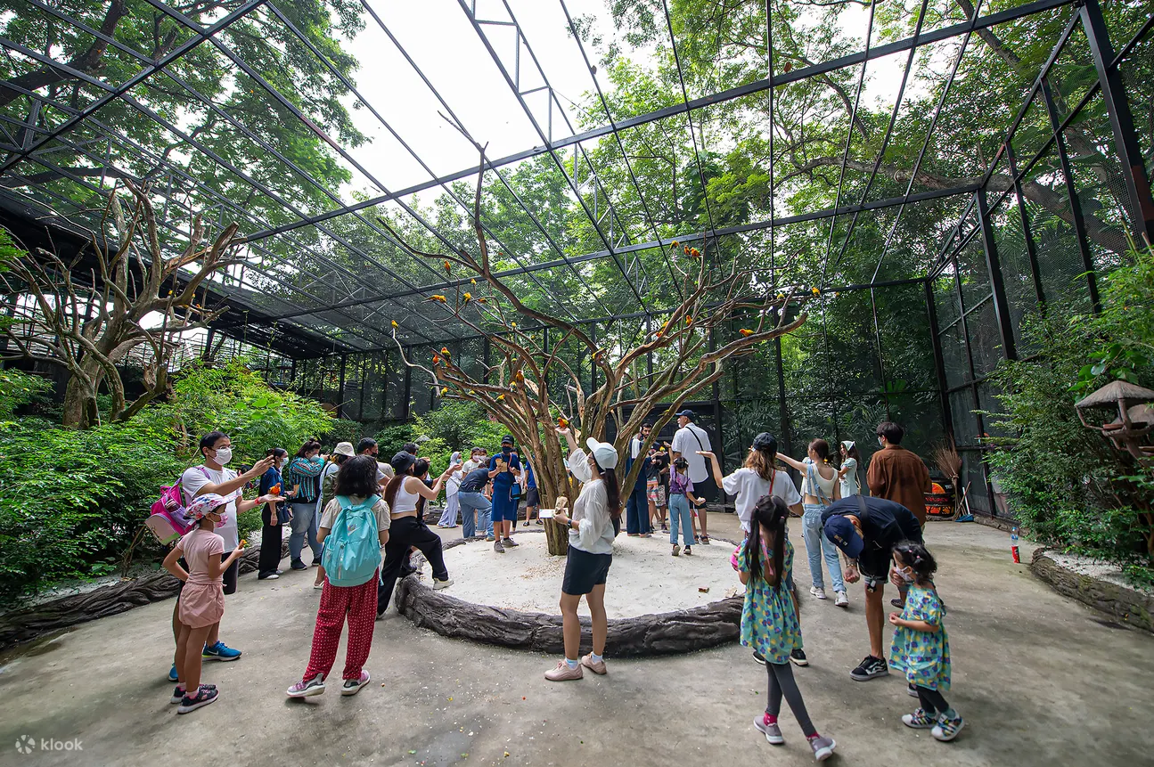  Vé Safari World Ở Bangkok