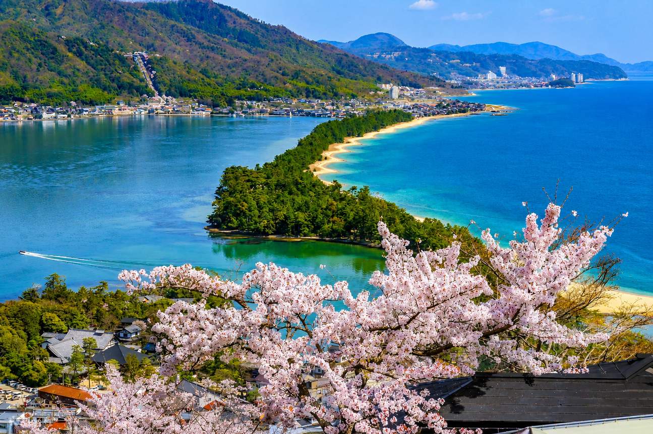 日本三景之天桥立&伊根舟屋&伊根湾美景欣赏一日游（大阪或京都出发