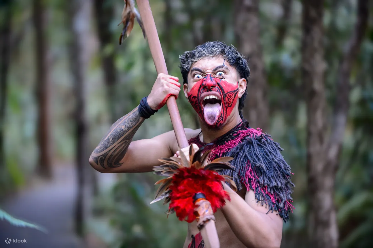 interactive treaty of waitangi