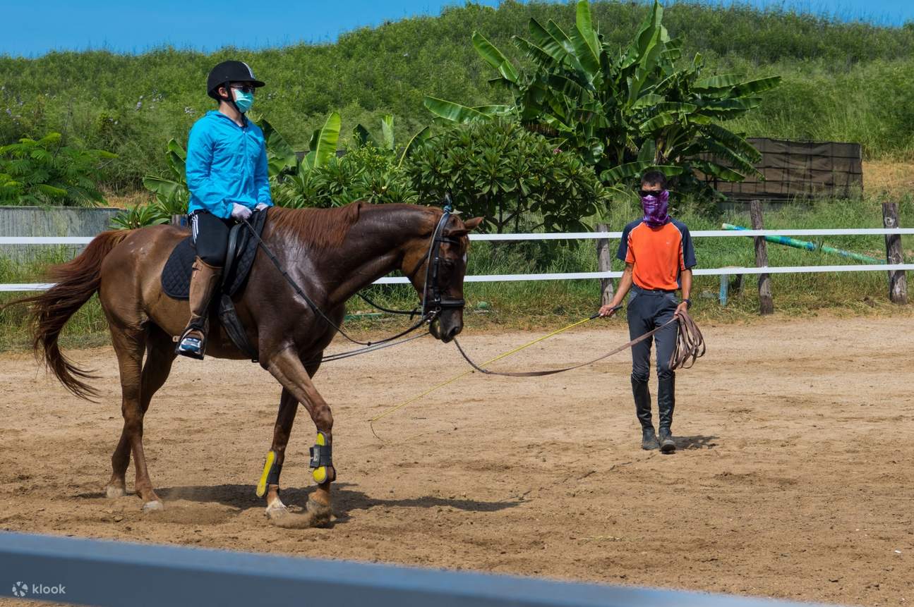 Outdoor Activities in Penghu Horse Riding Experience & Horse Feeding