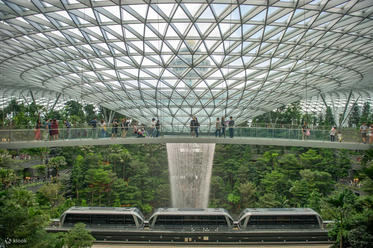 cầu canopy công viên canopy sân bay jewel changi singapore