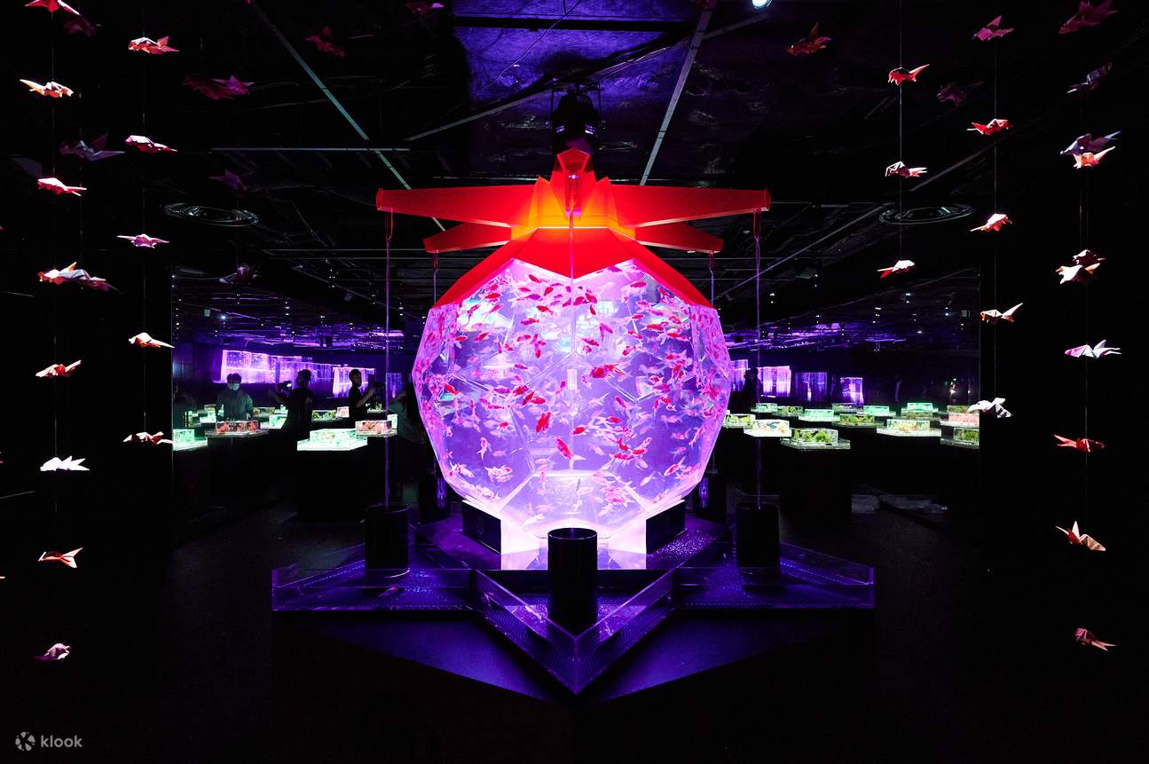 Art Aquarium Museum GINZA Admission Ticket Klook Việt Nam