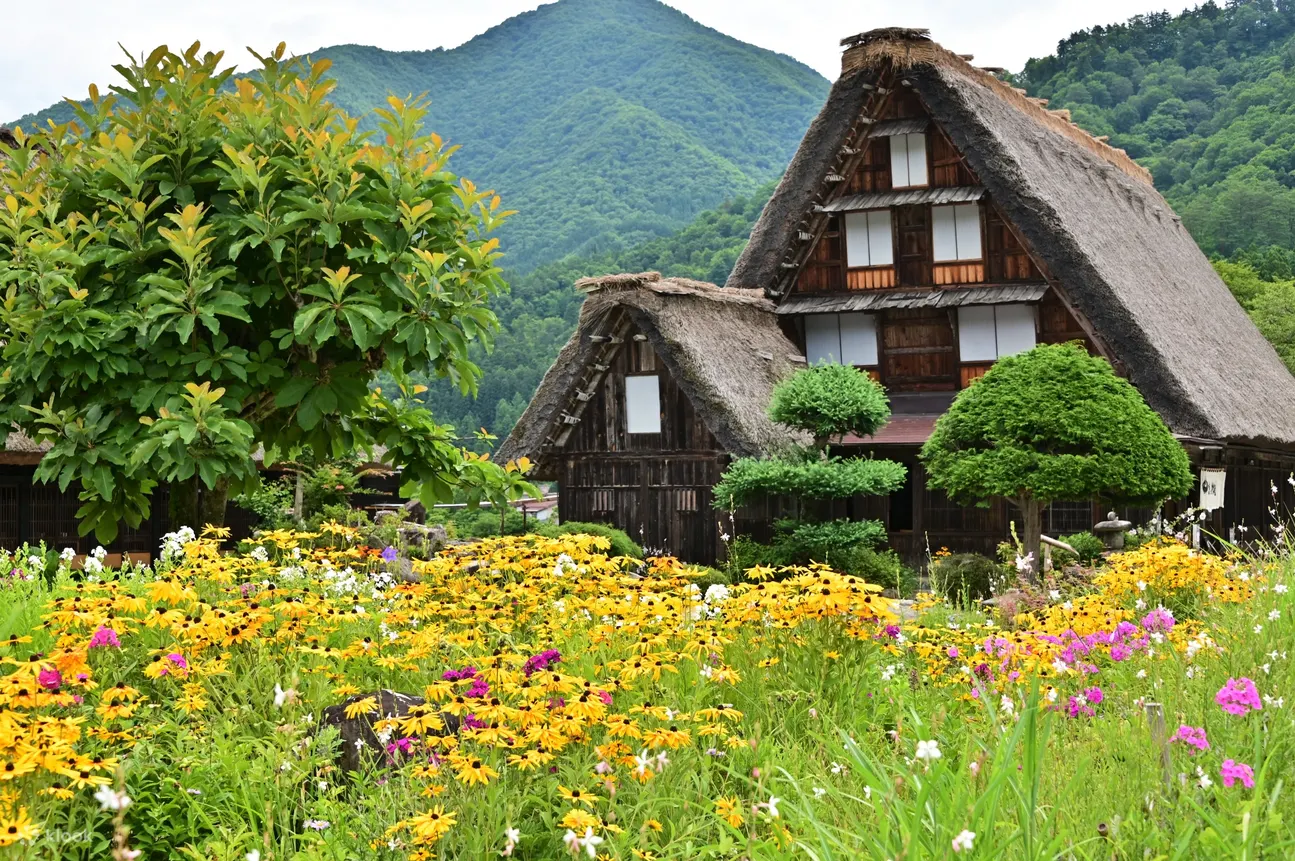 【名古屋發車】高山古街＆合掌村集落白川鄉(含午餐飛驒豬)